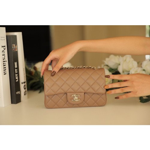 Chanel Flap Bag 20cm (Mini)