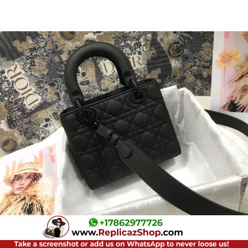 Dior Lady Dior 20cm Small