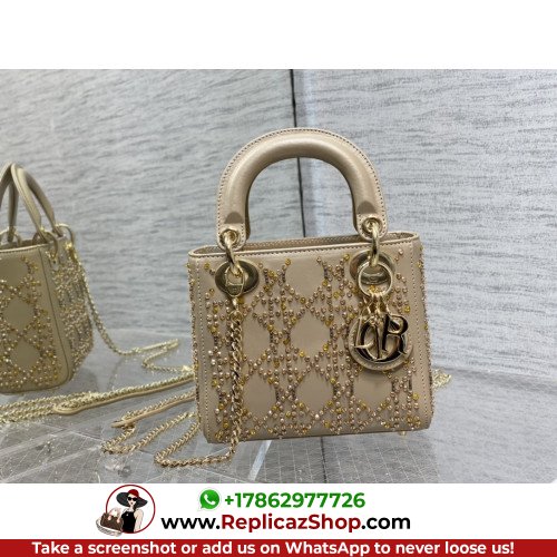 Dior Lady Dior 17cm Mini