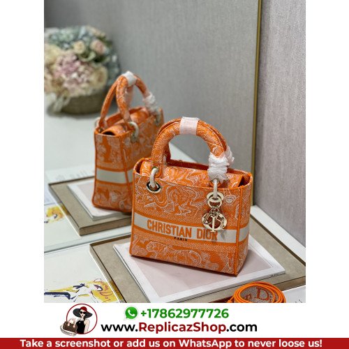 Dior Lady Dior 24cm Medium - Image 3