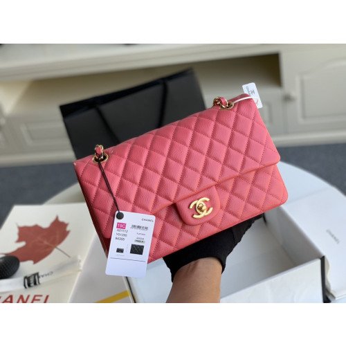 Chanel Flap Bag 25cm (Medium)