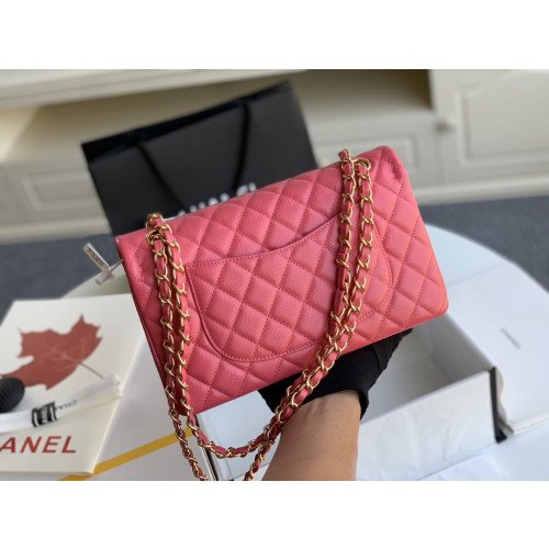 Chanel Flap Bag 25cm (Medium) - Image 5