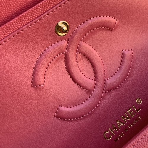 Chanel Flap Bag 25cm (Medium) - Image 9