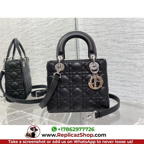Dior Lady Dior 20cm Small