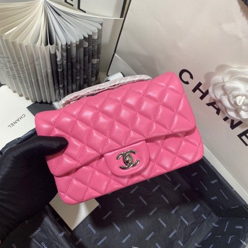 Chanel Flap Bag 20cm (Mini) - Image 5