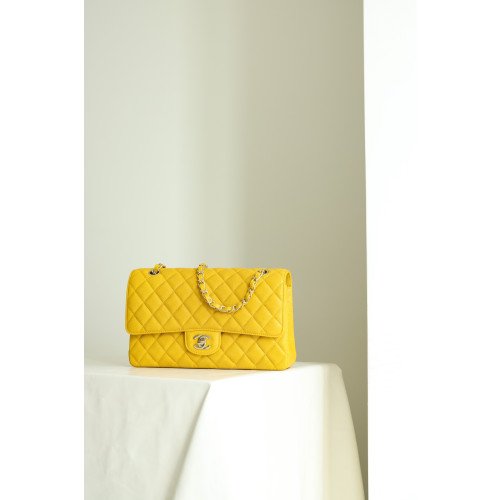 Chanel Flap Bag 25cm (Medium)