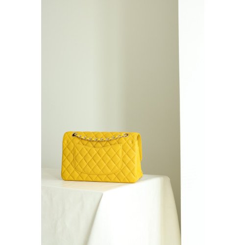 Chanel Flap Bag 25cm (Medium) - Image 4