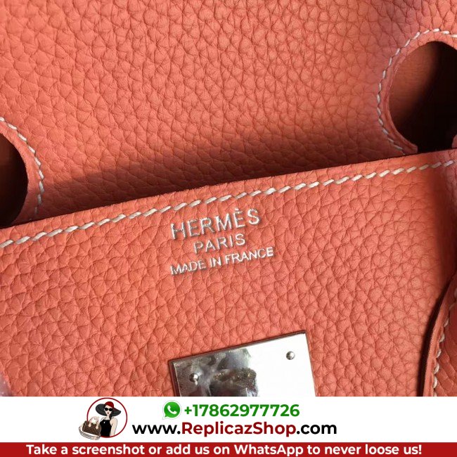Hermes Crevette Clemence Birkin 35cm Lushentic AAAAA Grade Replica - Image 8