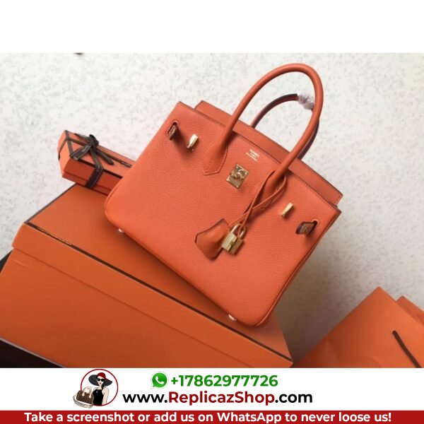 Hermes Orange Clemence Birkin 25cm Lushentic AAAAA Grade Replica - Image 4