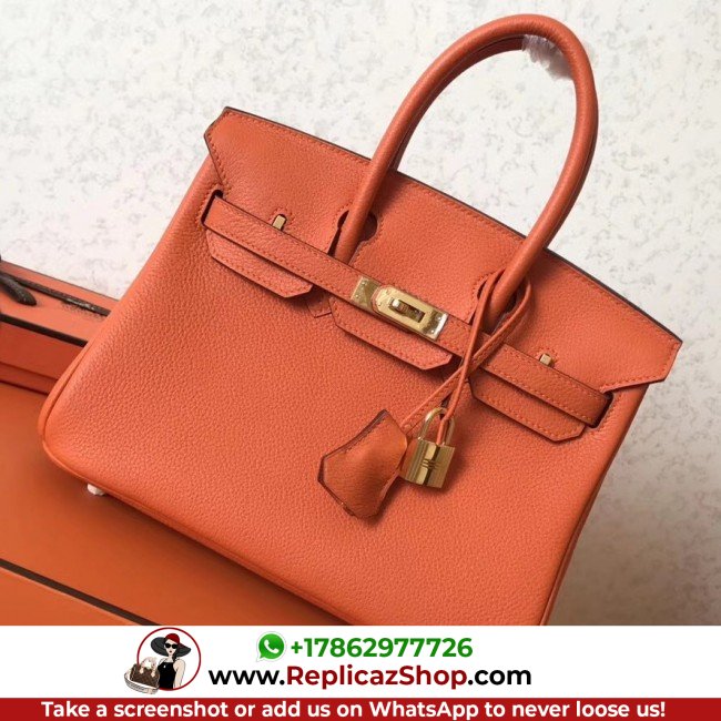 Hermes Orange Clemence Birkin 25cm Lushentic AAAAA Grade Replica