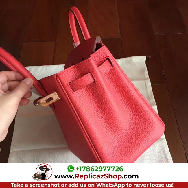 Hermes Bougainvillier Clemence Birkin 25cm Lushentic AAAAA Grade Replica - Image 3