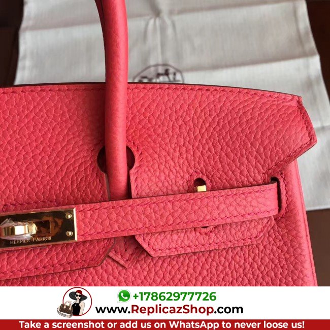 Hermes Bougainvillier Clemence Birkin 25cm Lushentic AAAAA Grade Replica - Image 8